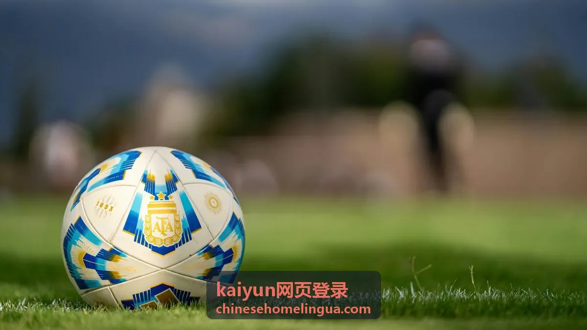 kaiyun网页登录 网页端登录界面使用示意