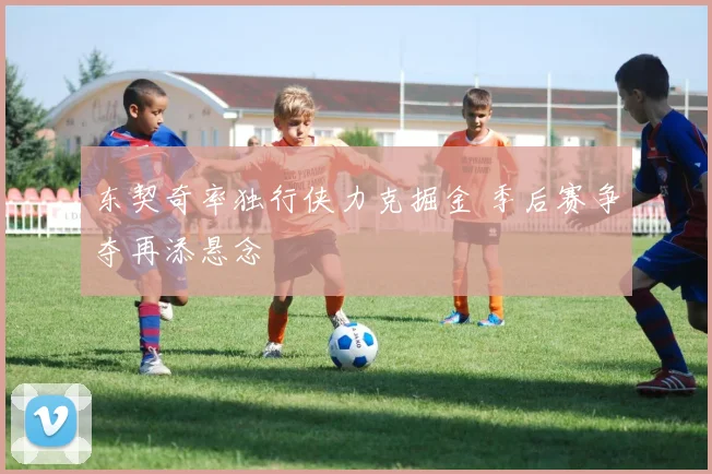 东契奇率独行侠力克掘金 季后赛争夺再添悬念