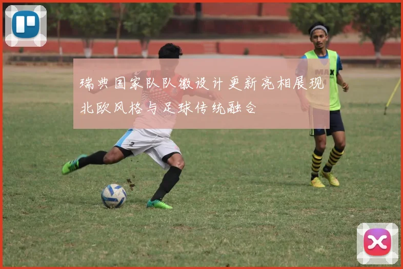 瑞典国家队队徽设计更新亮相展现北欧风格与足球传统融合
