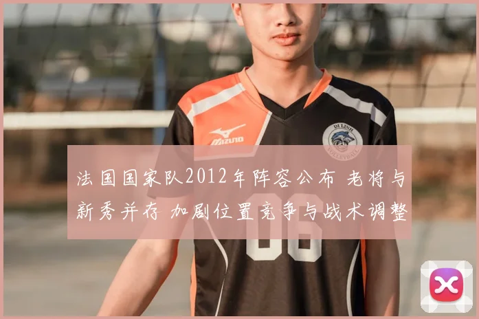 法国国家队2012年阵容公布 老将与新秀并存 加剧位置竞争与战术调整