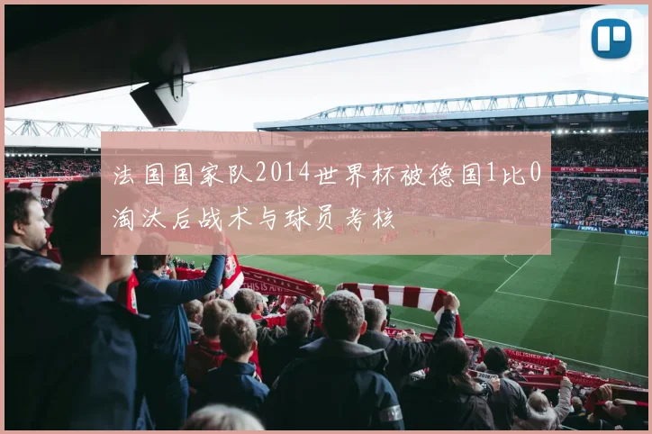 法国国家队2014世界杯被德国1比0淘汰后战术与球员考核