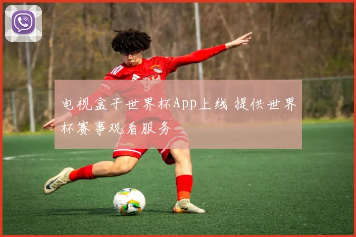 电视盒子世界杯App上线 提供世界杯赛事观看服务